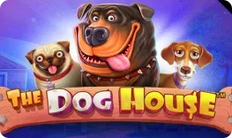 RetroBet – The Dog House